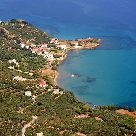 Elia 1 *